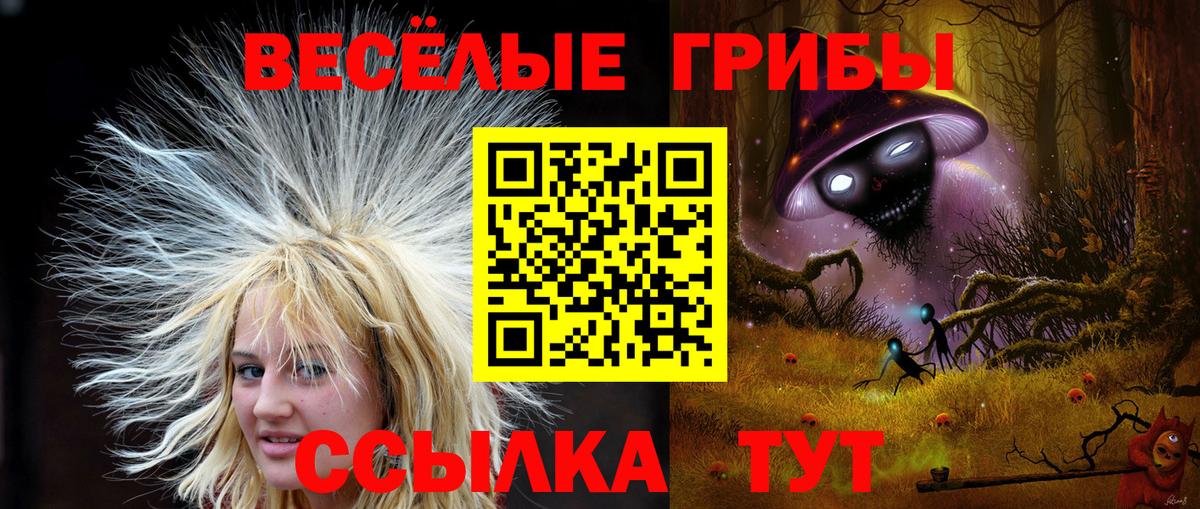 Псилоцибиновые грибы мухоморы  Вход с VPN  Галлюциногенные грибы Psilocybine cubensis  Новочебоксарск 