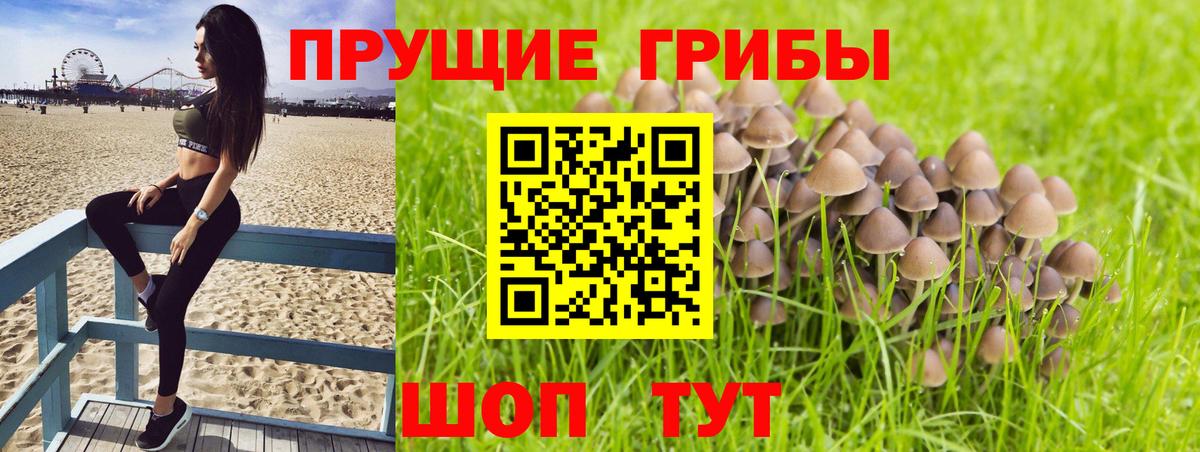 Галлюциногенные грибы прущие грибы Новочебоксарск